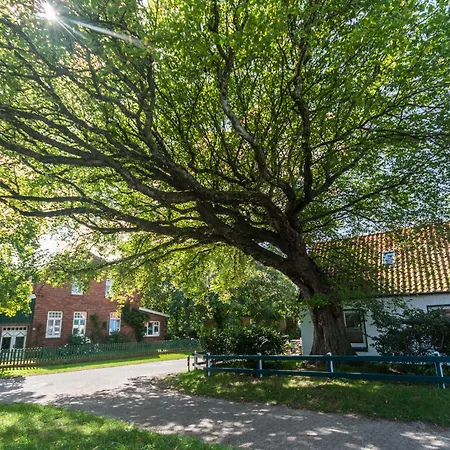 아파트 Appartementhaus Westerloog Inselherz 3 Mit Balkon