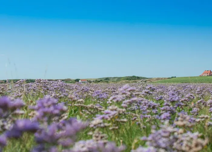 Appartementhaus Westerloog Inselherz 3 Mit Balkon * Шпикерог